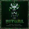 Ritual (Harmonika & Zanon & Maverick Remix) - Shapeless&Darth & Vader&Harmonika&Zanon&Maverick