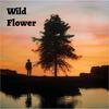 Wild flower (feat. Anja Schneider, Joris Voorn & Kölsch) (Explicit) - Zest Ore&Anja Schneider&Joris Voorn&Kölsch
