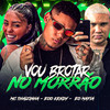 Vou Brotar no Morrão (Explicit) - eoo kendy&Eo Mafia&MC Thaizinha