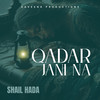 Qadar Jani Na - Shail Hada