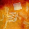 85bpm (Explicit) - THE CARDBOARD BOX&Sepia Systim&Tha Oracle