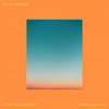 In My Bones - Lost Frequencies&David Kushner