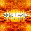 In Search Of Our Origin (Original Mix) - Somnesia