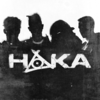 HAKA (Prod. Wiz World) - YLN Foreign&던밀스