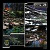 Fern Fables - Common Creation