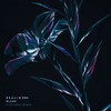 Blame (NGHTMRE Remix) - Ekali&ZHU