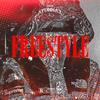 Free$tyle (feat. Young Stunnaz) (Explicit) - Young Weezy&Young Stunnaz