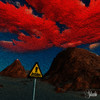 BELLAKEO EN EL DESIERTO (Explicit) - Skechi&Neuro