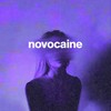 novocaine - Shiloh Dynasty&Slowboy