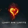 What She Wants (Explicit) - J Kooling&Laidley Production