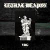 Lethal Weapon (Explicit) - VRG