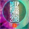 Amber Glow (Blood Groove & Kikis Remix) - Blue Haze