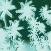 AVANSE - Paperwater&Rara