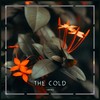 The Cold - Grisli