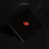 Down (Franky Rizardo Remix) - Marian Hill