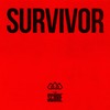 Survivor - The Score