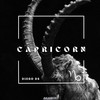 Capricorn (Radio Edit) - Diego Ds
