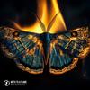 Moth To A Flame - Merdy&DVO&Afro Queen