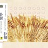 那些花儿 - 朴树