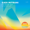 Fewer (Subsky Remix) - Gadi Mitrani&Subsky