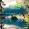 群蛙 - 吴金黛
