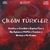 Çılgın Türkler (feat. Geeflow, CemShit, Kaptan Flow, Alp Aybars, Mıtmıt, Cambaz ) - Mc Erdem&Geeflow&Cemshit&Kaptan Flow&Alp Aybars&MitMit&Cambaz&Orchun