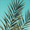 Summer - Aesthetic Sounds