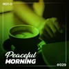 You Say - DJ Aristocrat