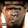 Ol' Skool (Album Version|Explicit) - Sheek Louch&Bun B
