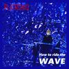 How to ride the wave - Platronic