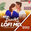 Meri Duniya Hai Lofi Mix - Sonu Nigam&Kavita Krishnamurthy&Kedrock&SD Style