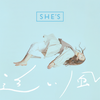 追い風 - SHE'S