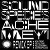 Alina's Calypso (Soundspecies Remix) - Soundspecies&Ache Meyi