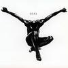 If I Could (LP版) - Seal