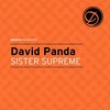 Sister Supreme (Fred Everything Movin' Dub) - David Panda&Cecilia Stalin