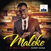 Over(feat. Harrysong) - Maleke&Harrysong