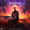 Mamnoo (Marg Lotfabadi Remix) - Amir Tataloo