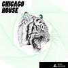 Chicago House (Original Mix) - Dmitry Povarnitsin