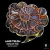 Waves of Time (MPathy Remix) - Amir Telem&MPathy