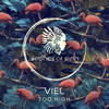 Too High (DIBIDABO Remix) - Viel&DIBIDABO