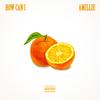 How can I (Explicit) - Amillie