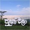 Pulun Wala (feat. Dammika) - Thathnim Production&Dammika