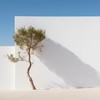 Summer Minimal Housing - Pelaez