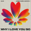 Why I Love You So - Alok&James Hurr&Supafly