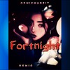 Fortnight - Okmic