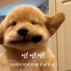 哒哒哒（几给几给几给哒可哒可哒） - 秃头少女