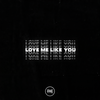 Love Me Like You - The Young Escape&Nobigdyl.