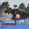 Broken wings - Elfina