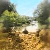 Rainbow in Pamplona - The Rainbows