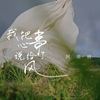 我把心事说给了风 - 阿美呀
